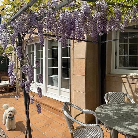 באקיו Bakea Apto Con Jardin Privado מראה חיצוני תמונה
