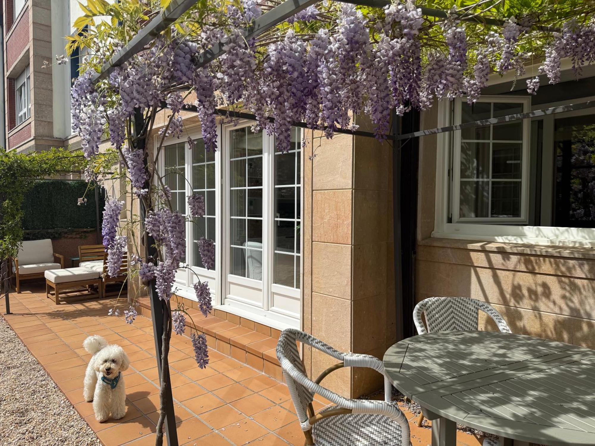 באקיו Bakea Apto Con Jardin Privado מראה חיצוני תמונה